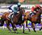 Shopaholic in frame for Stradbroke start